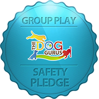 The Dog Gurus Safety Pledge logo